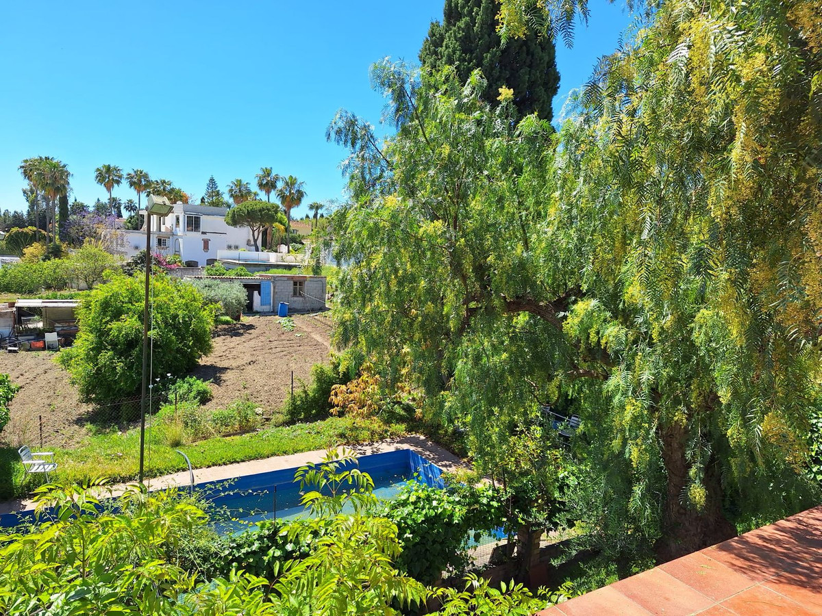 Estepona