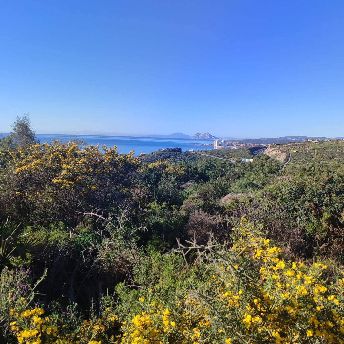 San Diego