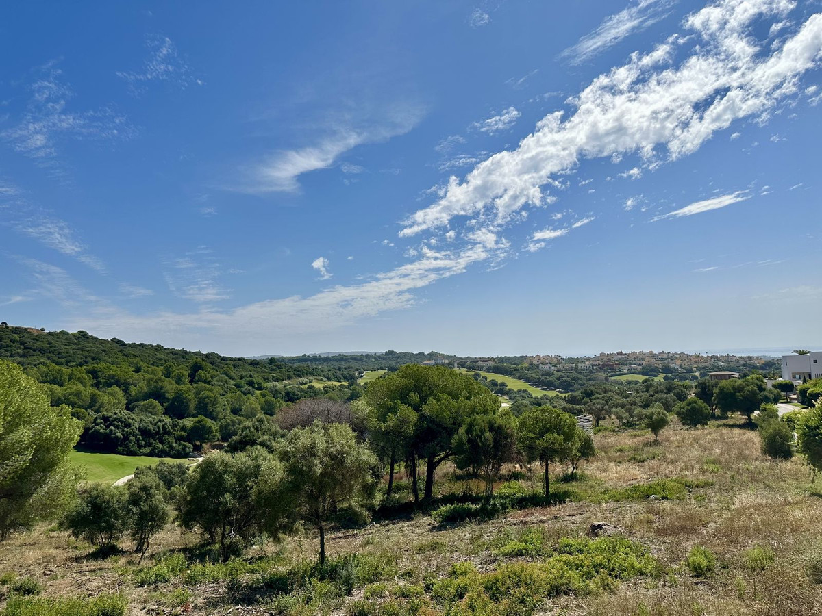 Sotogrande